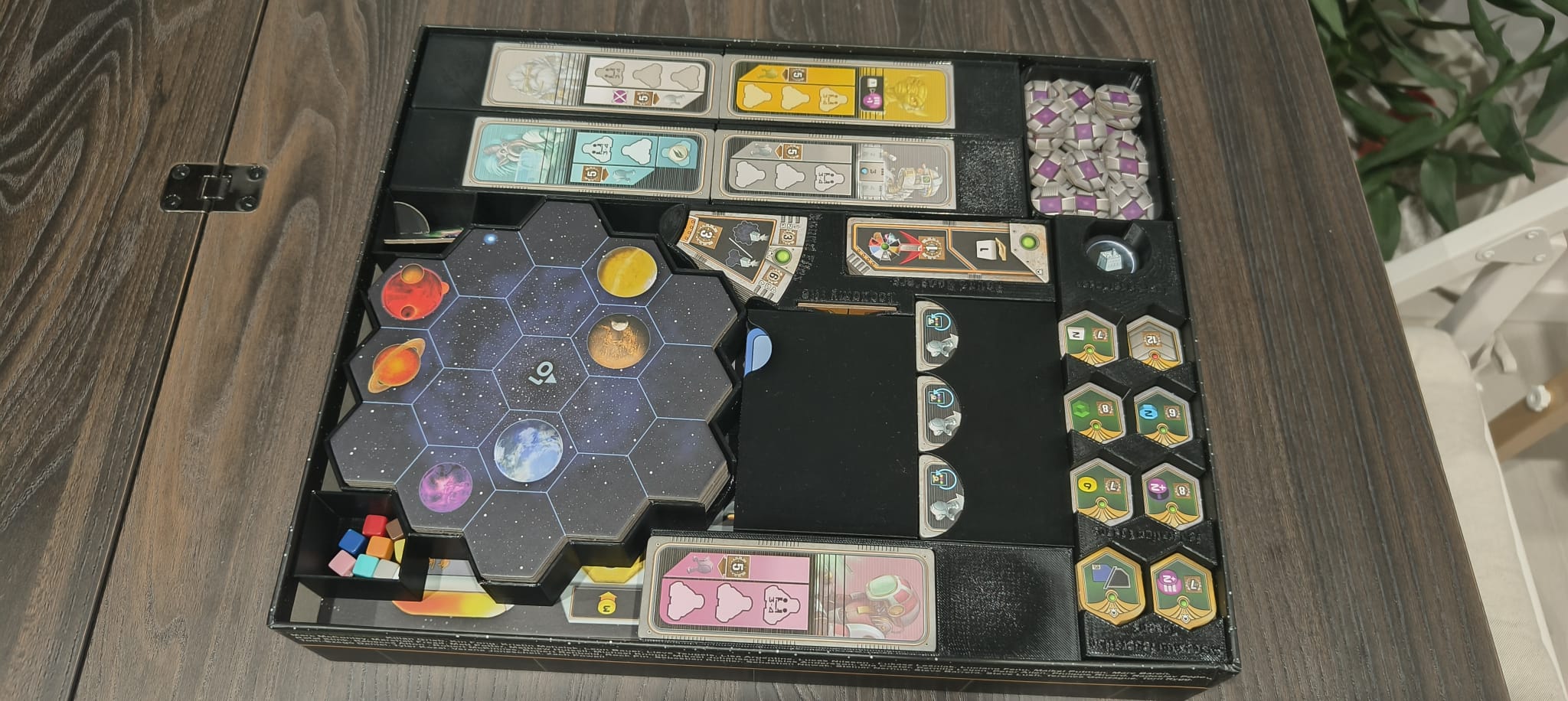 Organizator Gaia Project