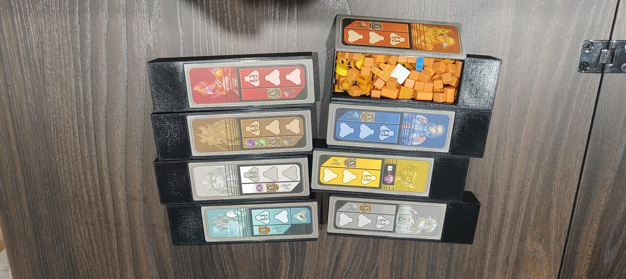 Organizator Gaia Project